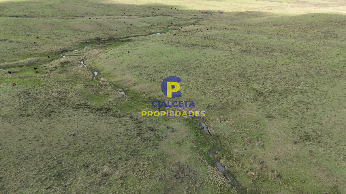 Campo Ref.454 - 430 hectáreas en Minas