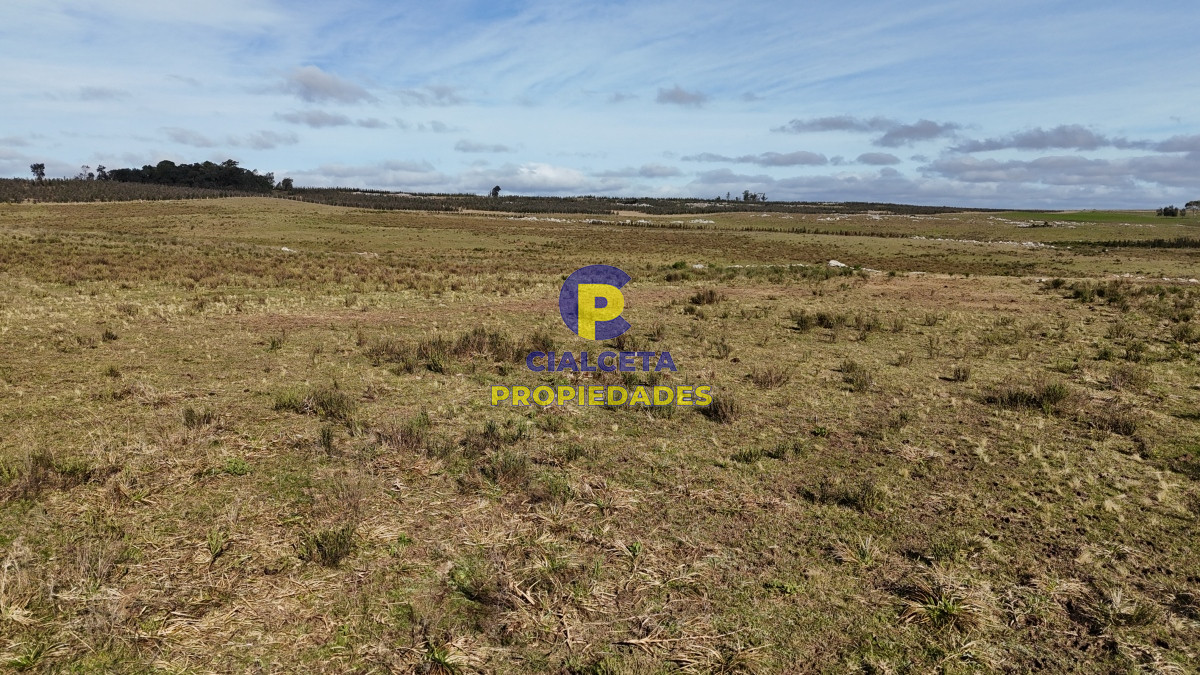 Campo Ref.465 - 24 hectáreas en Lavalleja, a 6 km de Villa Serrana