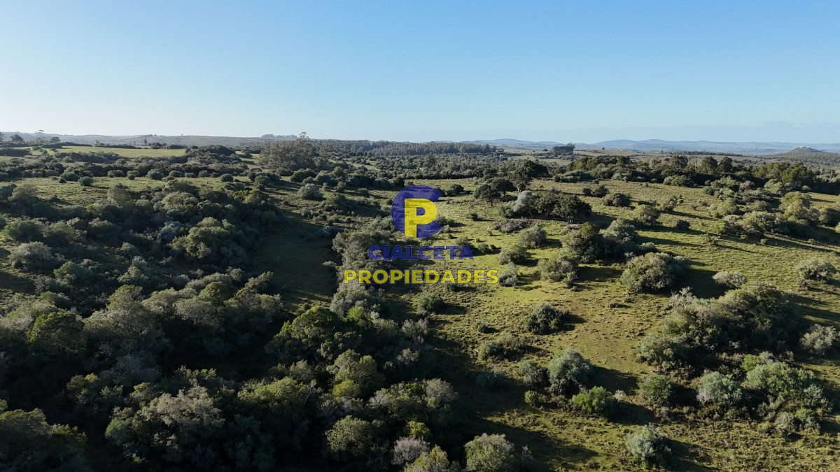 Campo Ref.457 - 28 hectáreas con cañada y monte nativo, Maldonado