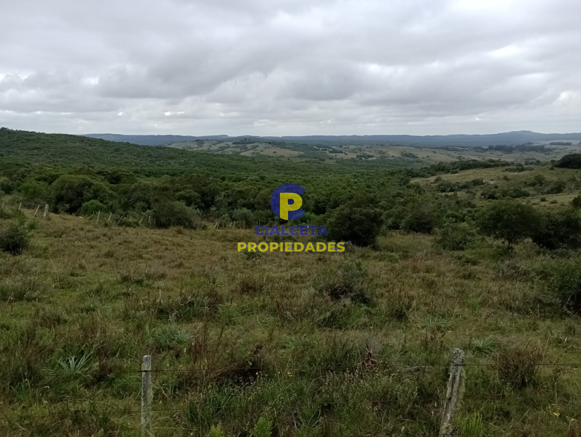Campo Ref.195 - 48 hectáreas con 8 mil metros en Garzón