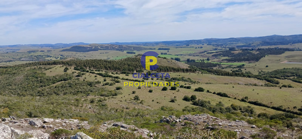 Campo Ref.541 - 268 hectáreas en Lavalleja,turístico