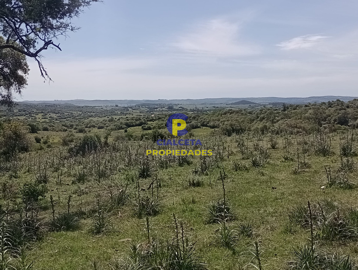 Campo Ref.344 - 54 hectáreas con 9.722 metros en Maldonado