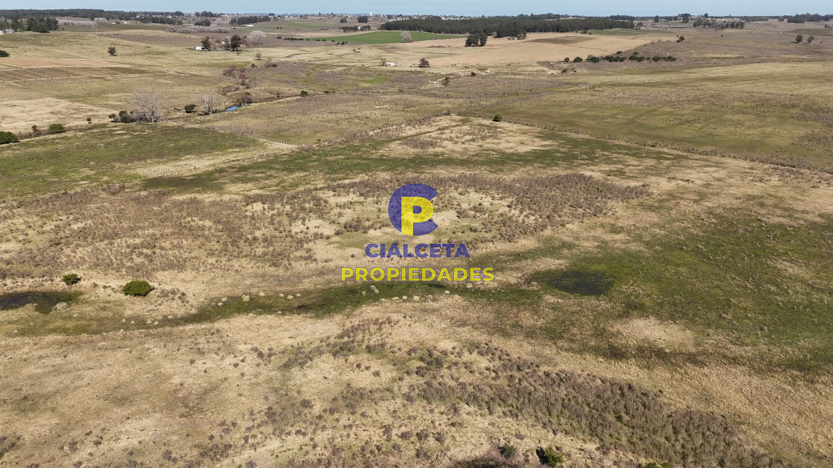 92 hectáreas con cañada y buen acceso - GoPunta - Portal Inmobiliario de Punta del Este - Maldonado