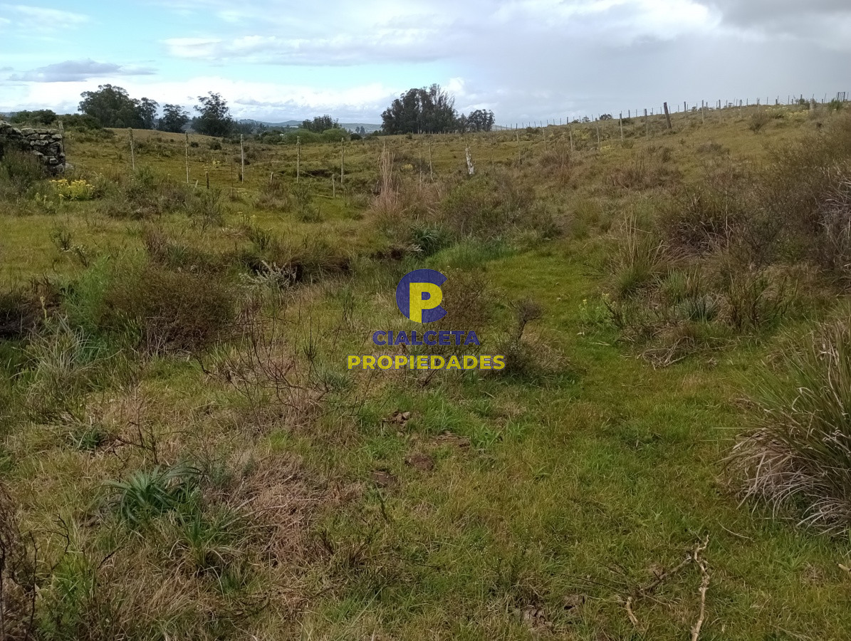Campo Ref.113 - 5 hectáreas en Maldonado, Pueblo Edén