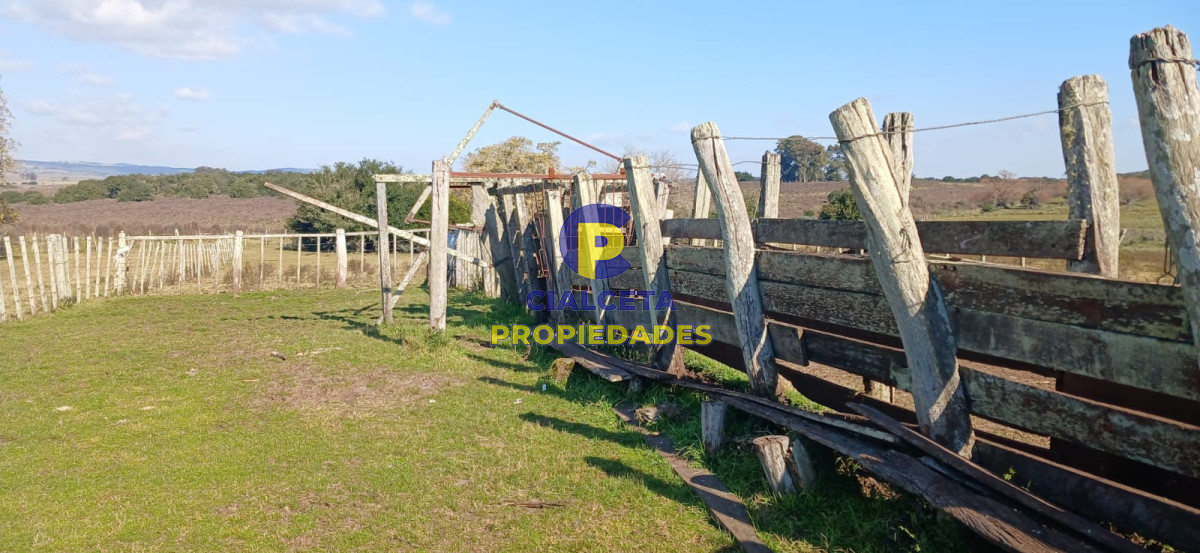 Campo Ref.475 - 386 hectáreas en Maldonado