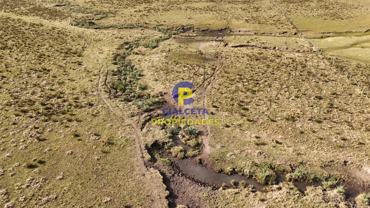 Campo Ref.478 - 273 hectáreas en Maldonado