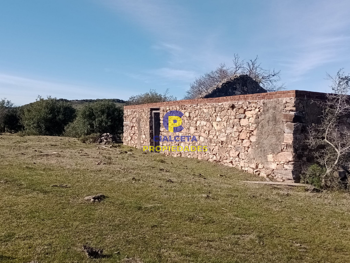 Campo Ref.298 - 82 hectáreas en Pueblo Edén