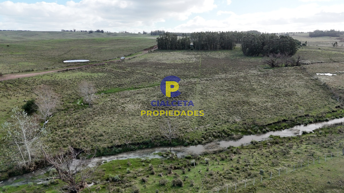 Campo Ref.454 - 430 hectáreas en Minas
