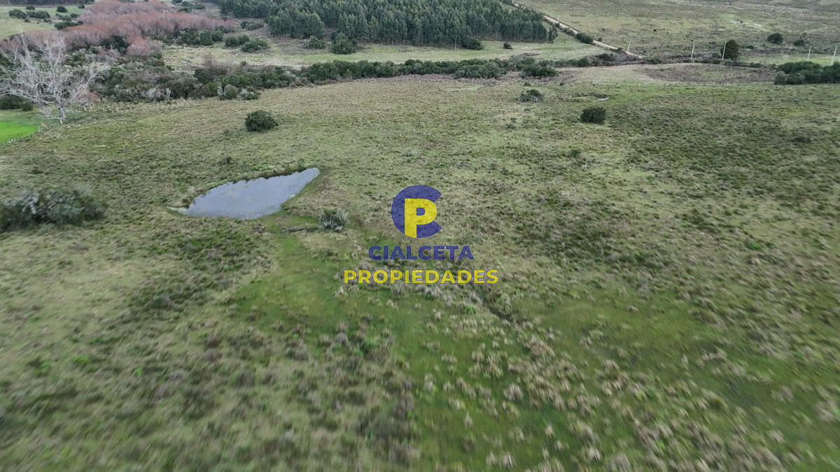 Campo Ref.461 - 60 hectáreas con arroyo y cañada en Maldonado