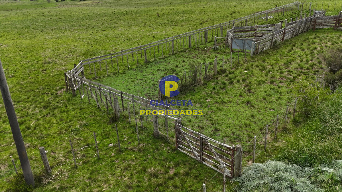 Campo Ref.538 - 68 hectáreas y media en Valle Fuentes con 200 de coneat