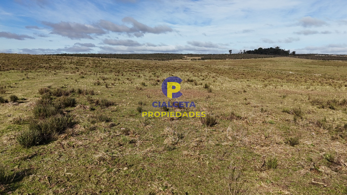 Campo Ref.465 - 24 hectáreas en Lavalleja, a 6 km de Villa Serrana
