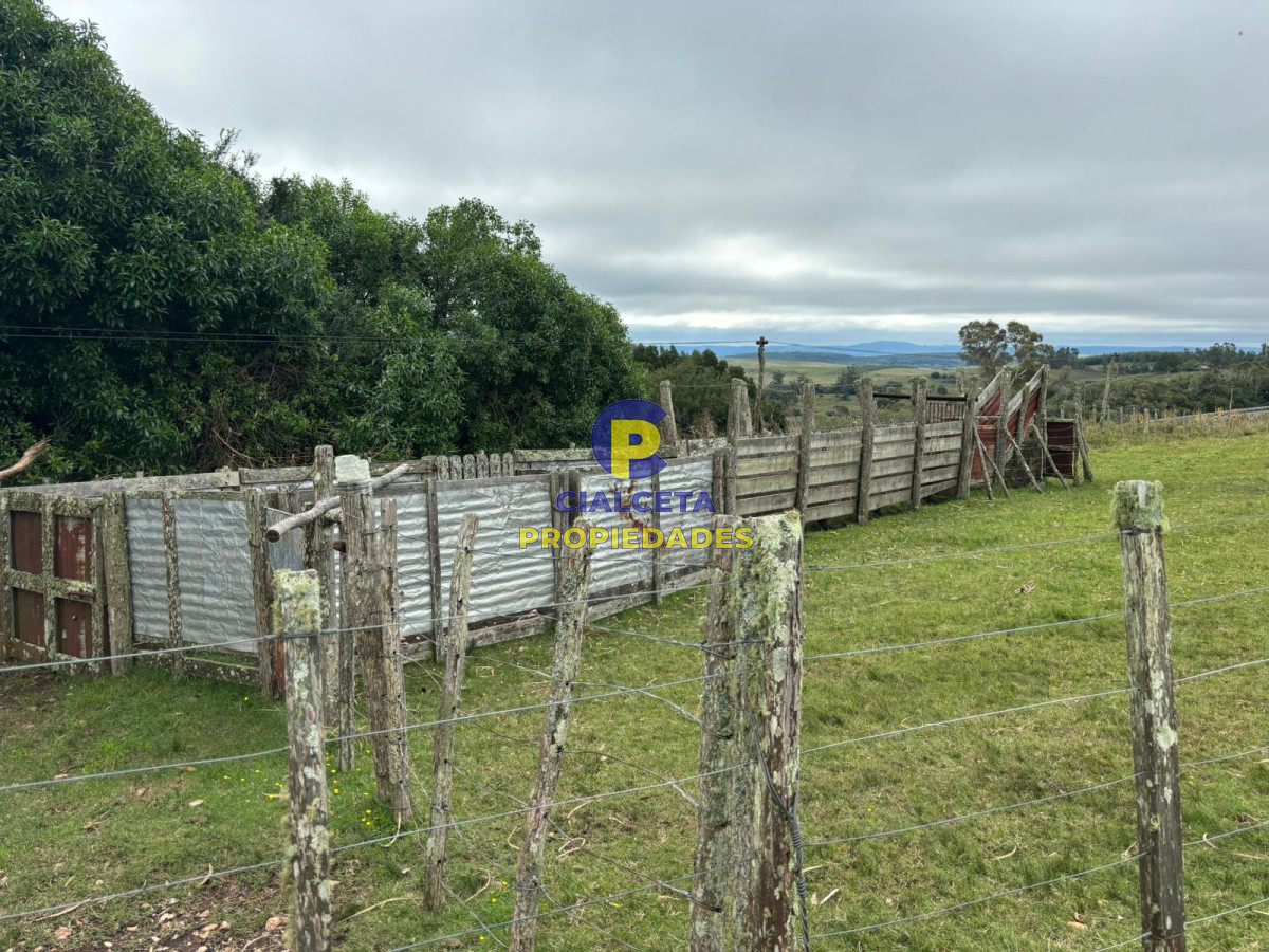 Campo Ref.426 - 116 hectáreas en Lavalleja