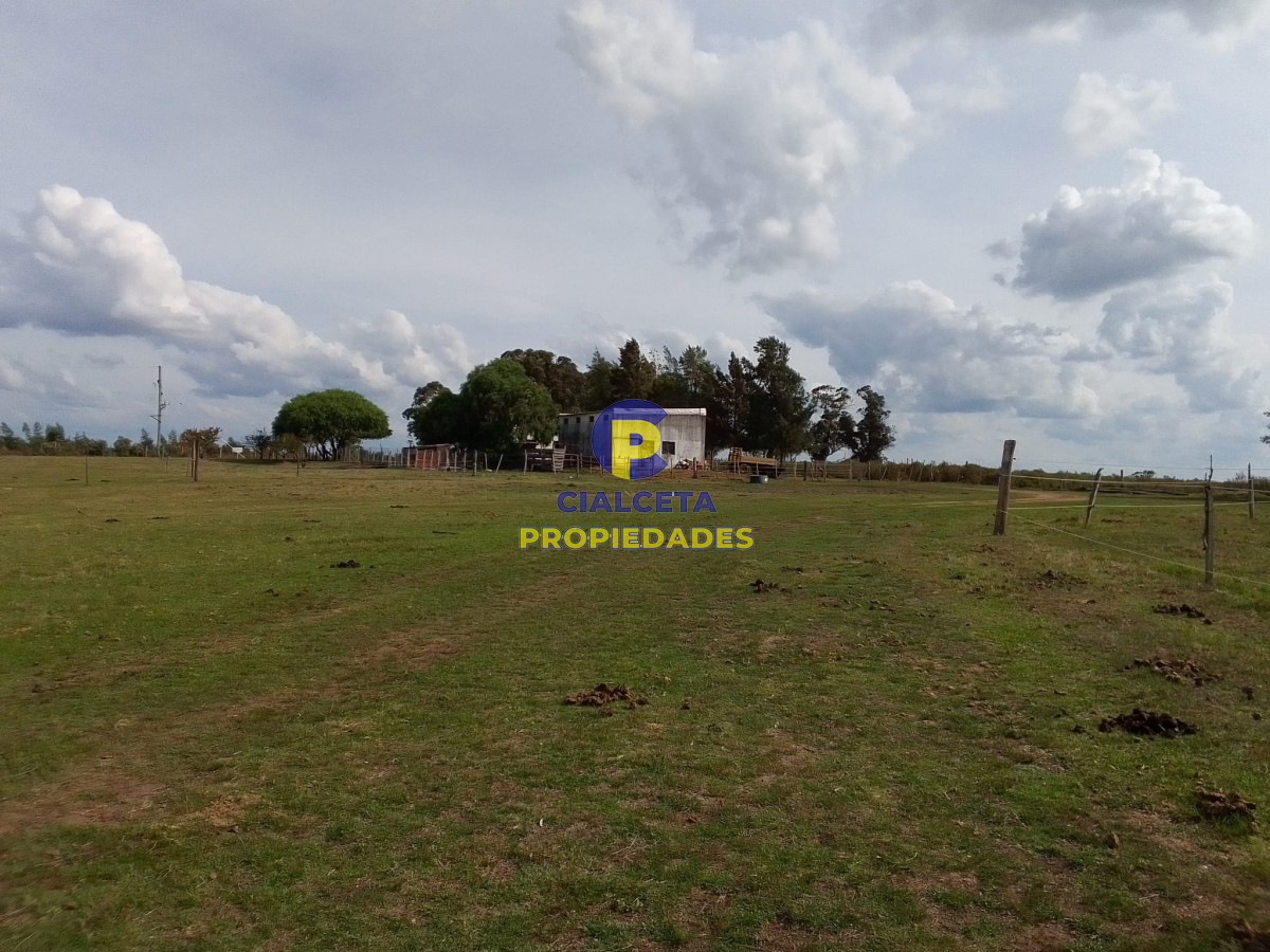 Campo Ref.139 - 3 hectáreas con olivos
