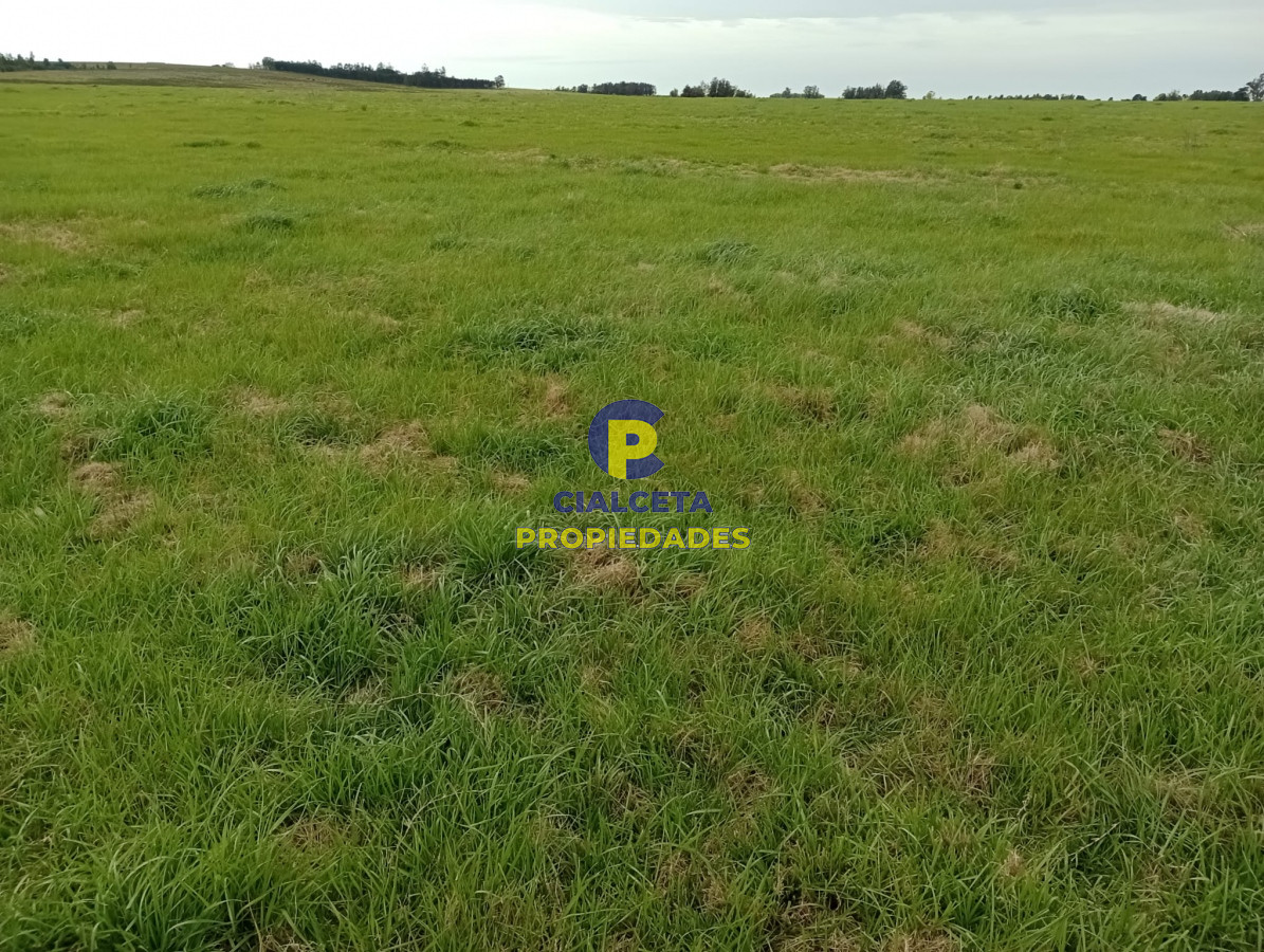 Campo Ref.293 - 15 hectáreas en Maldonado