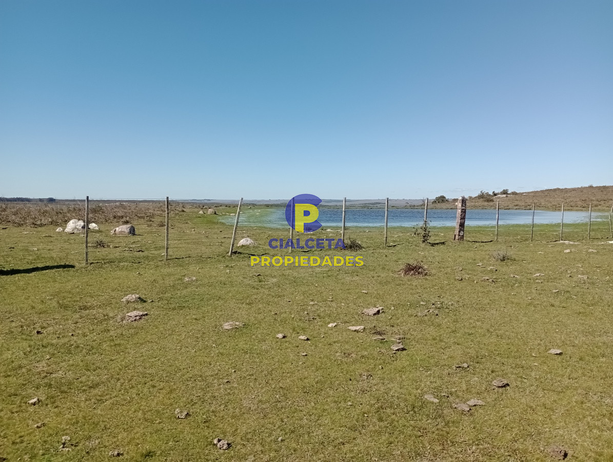 Campo Ref.136 - 811 hectáreas en Treinta y Tres