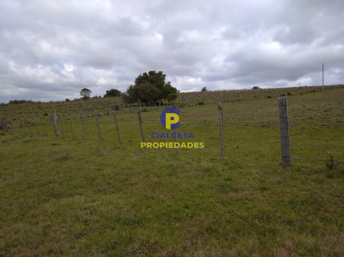 Campo Ref.91 - 267 hectáreas en Maldonado