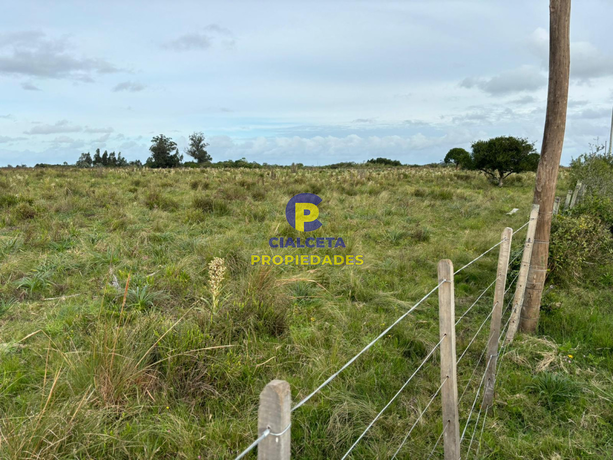 Campo Ref.418 - 50 hectáreas sobre ruta 9