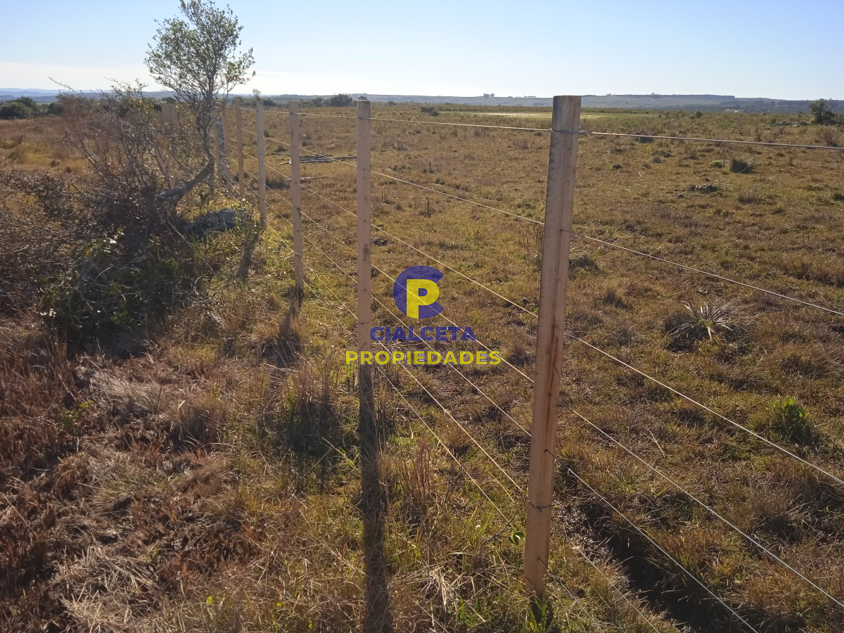 Campo Ref.283 - 273 hectáreas y media en Lavalleja
