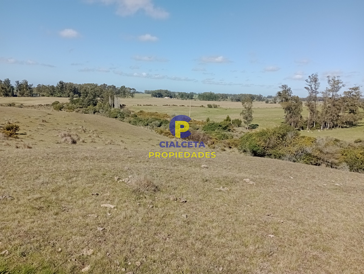 Campo Ref.98 - 125 hectáreas en Rocha