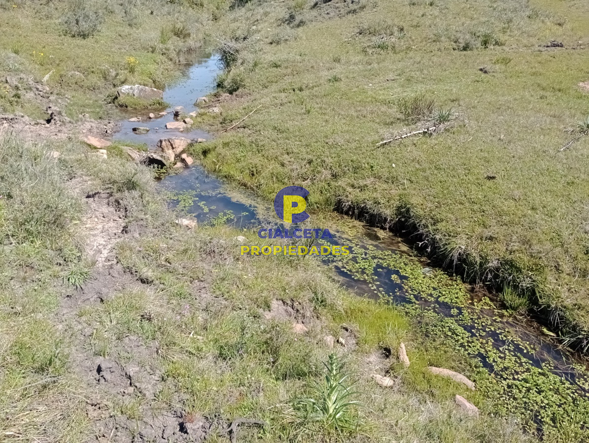 Campo Ref.209 - 5 hectáreas en Pueblo Edén