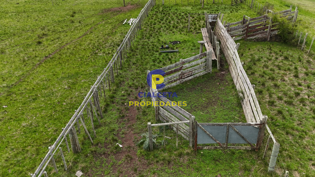 Campo Ref.538 - 68 hectáreas y media en Valle Fuentes con 200 de coneat