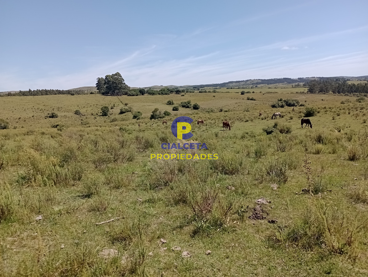 Campo Ref.539 - 92 hectáreas con casa reciclada, vista a las sierras, arroyo, monte