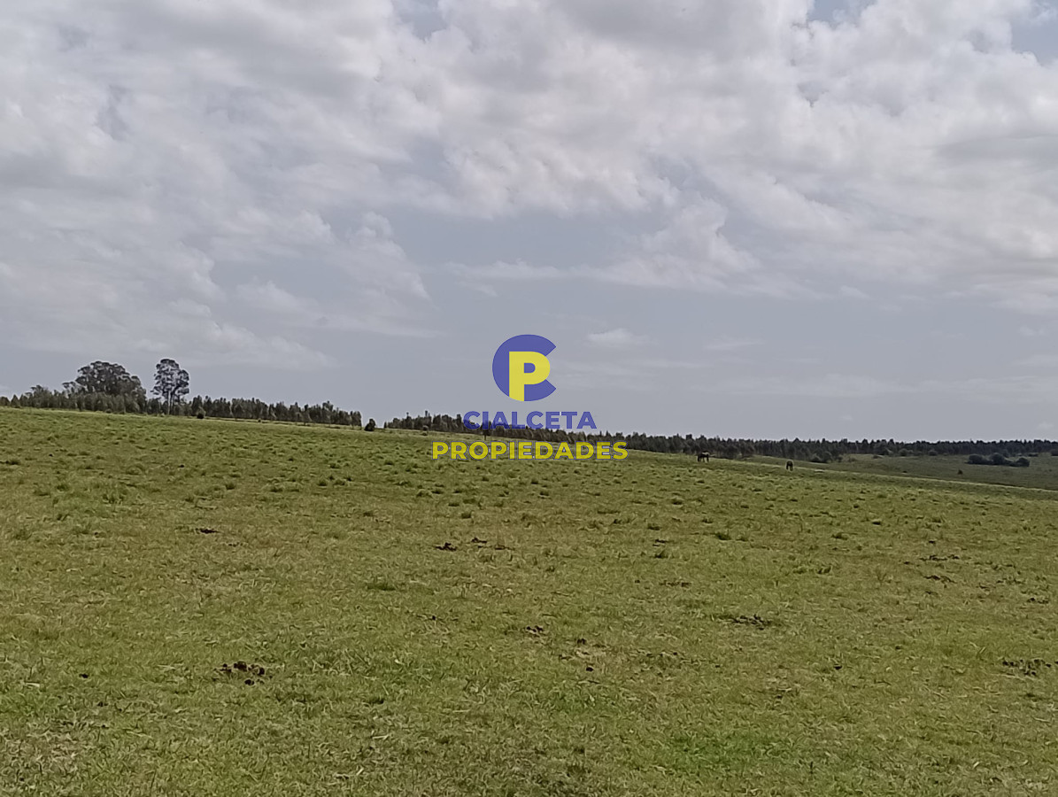 Campo Ref.315 - 28 hectáreas y media en Maldonado