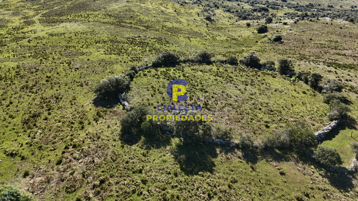 Campo Ref.511 - 29 hectáreas en Lavalleja