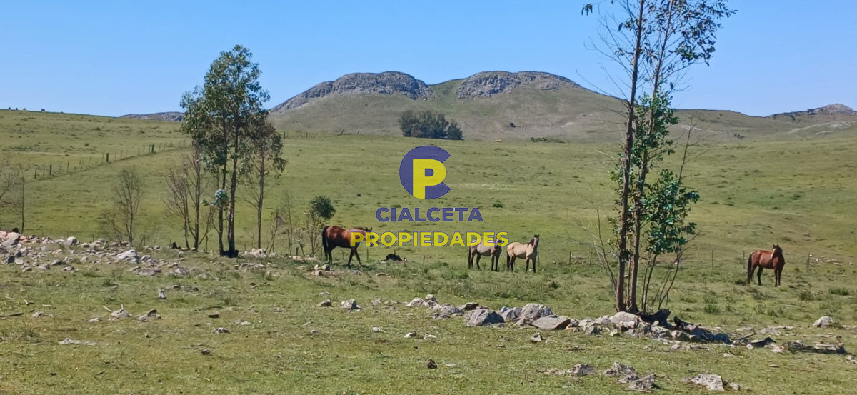 Campo Ref.324 - 215 hectáreas en Lavalleja