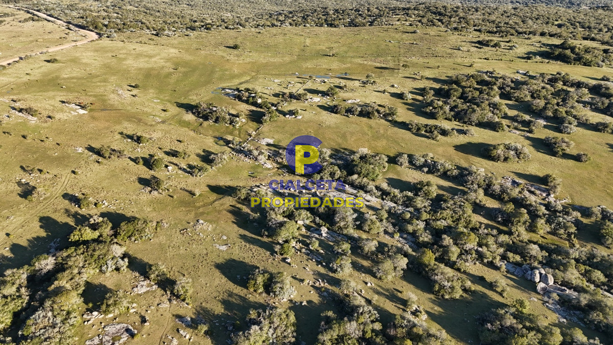Campo Ref.512 - 55 hectáreas con tajamar y monte nativo