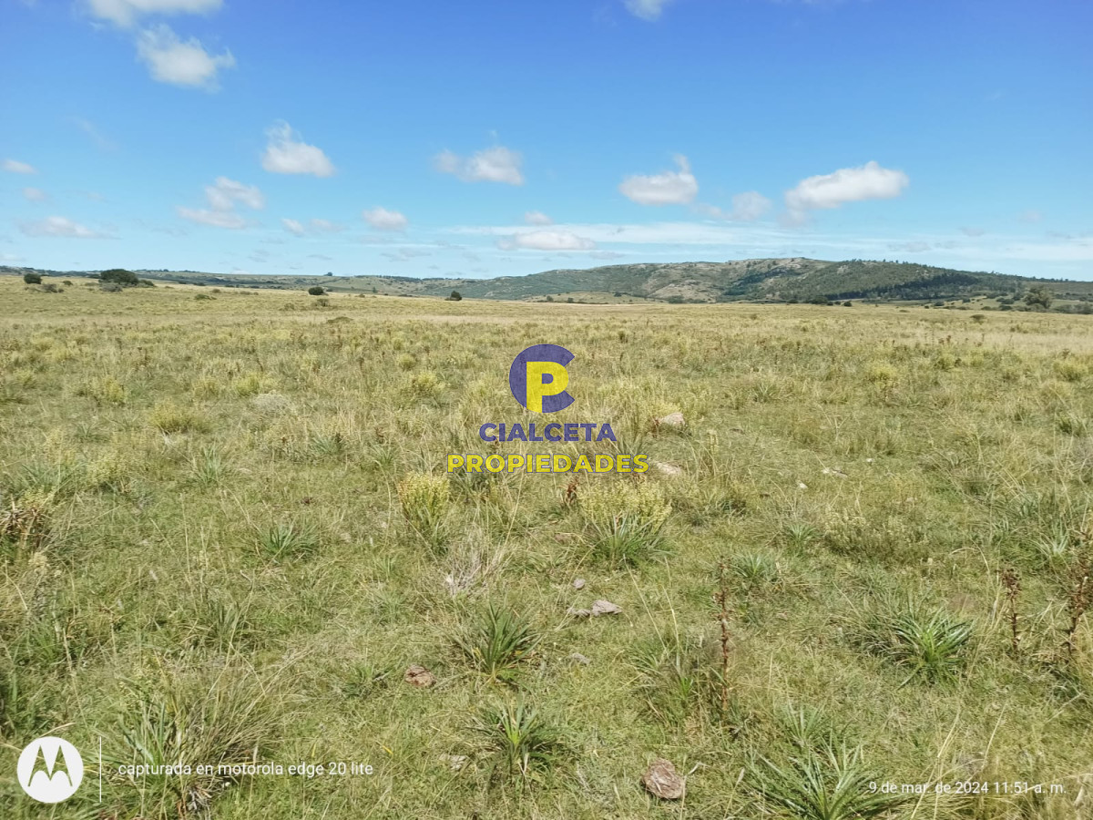 Campo Ref.408 - 16 hectáreas en Minas a la venta