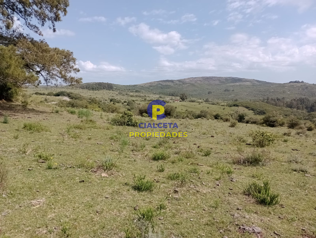 Campo Ref.317 - 55 hectáreas en Maldonado