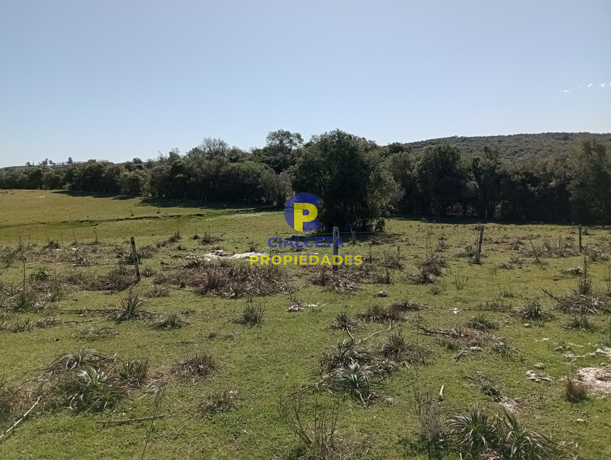 Campo Ref.135 - 2957 hectáreas en Cerro Largo