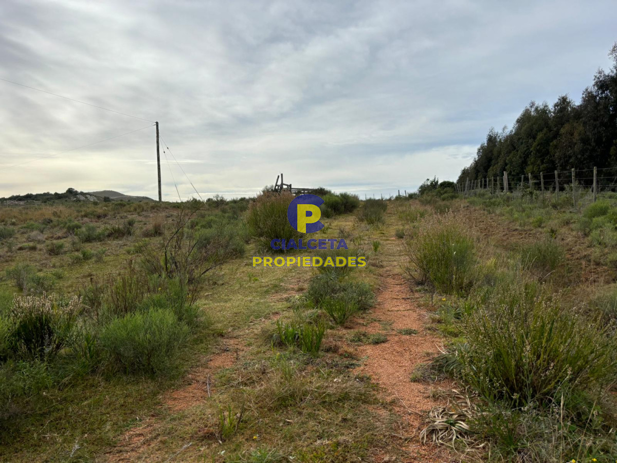 200 hectáreas con muy buena vista - GoPunta - Portal Inmobiliario de Punta del Este - Maldonado