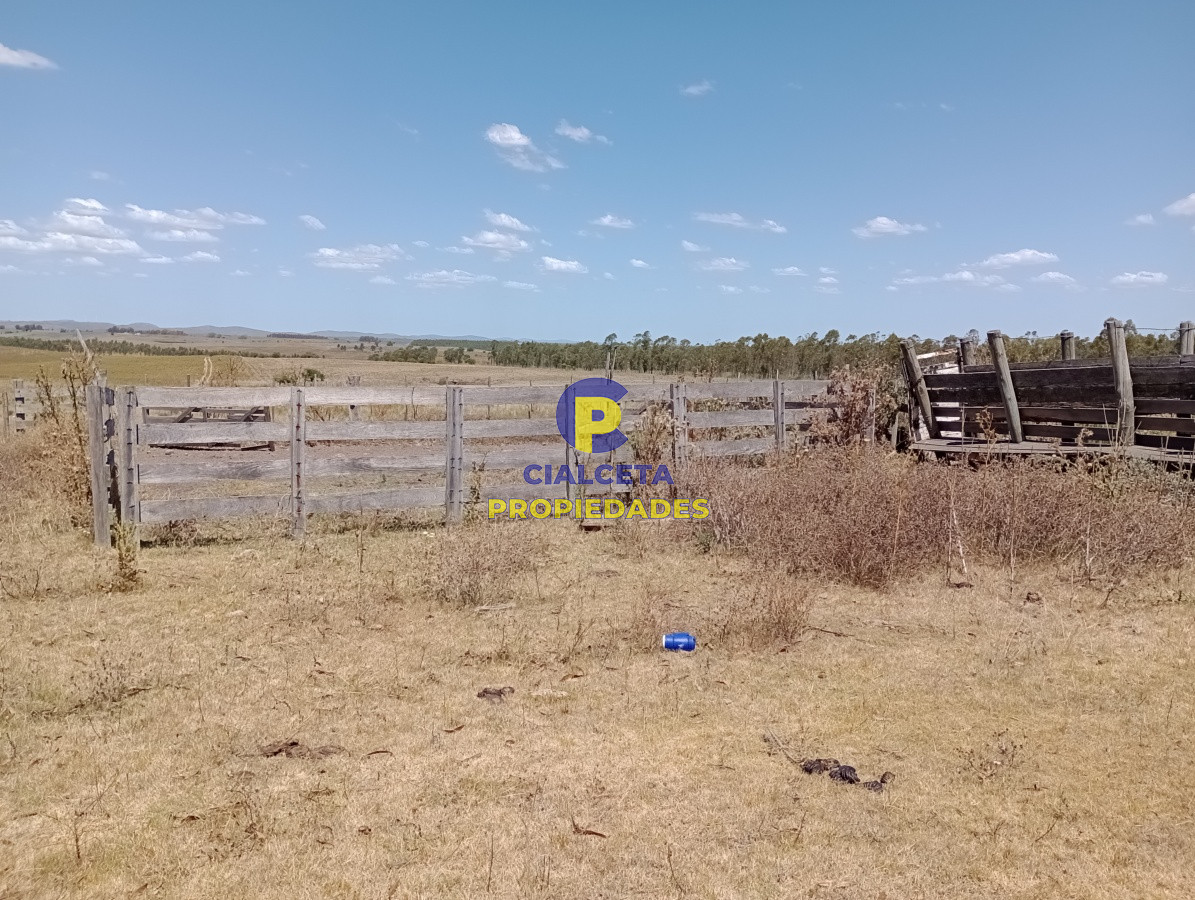 Campo Ref.134 - 21 hectáreas en Lavalleja