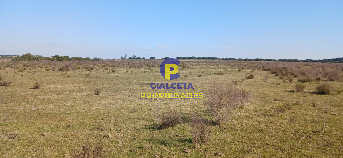 386 hectáreas en Maldonado - GoPunta - Portal Inmobiliario de Punta del Este - Maldonado