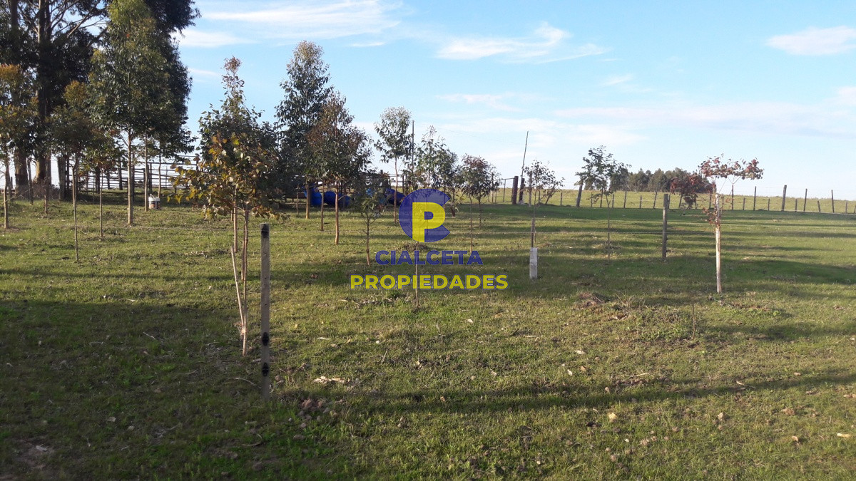 Campo Ref.211 - 8 hectáreas con casa y caballerizas