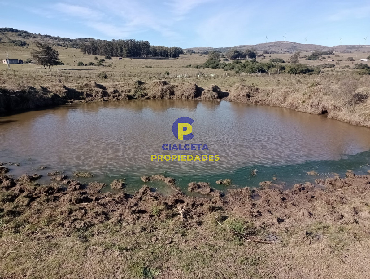 Campo Ref.298 - 82 hectáreas en Pueblo Edén