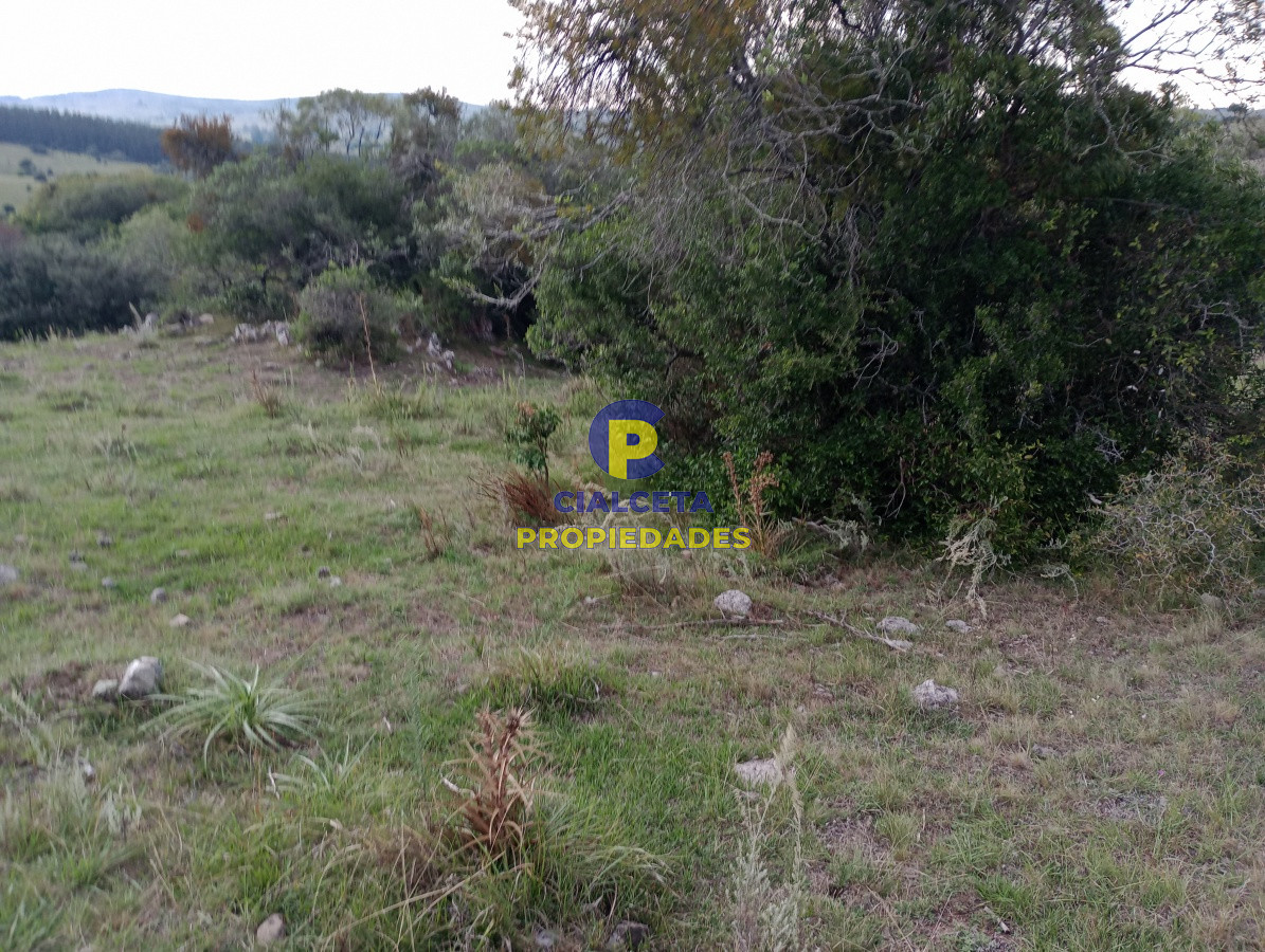 Campo Ref.182 - 5 hectáreas en Pueblo Edén