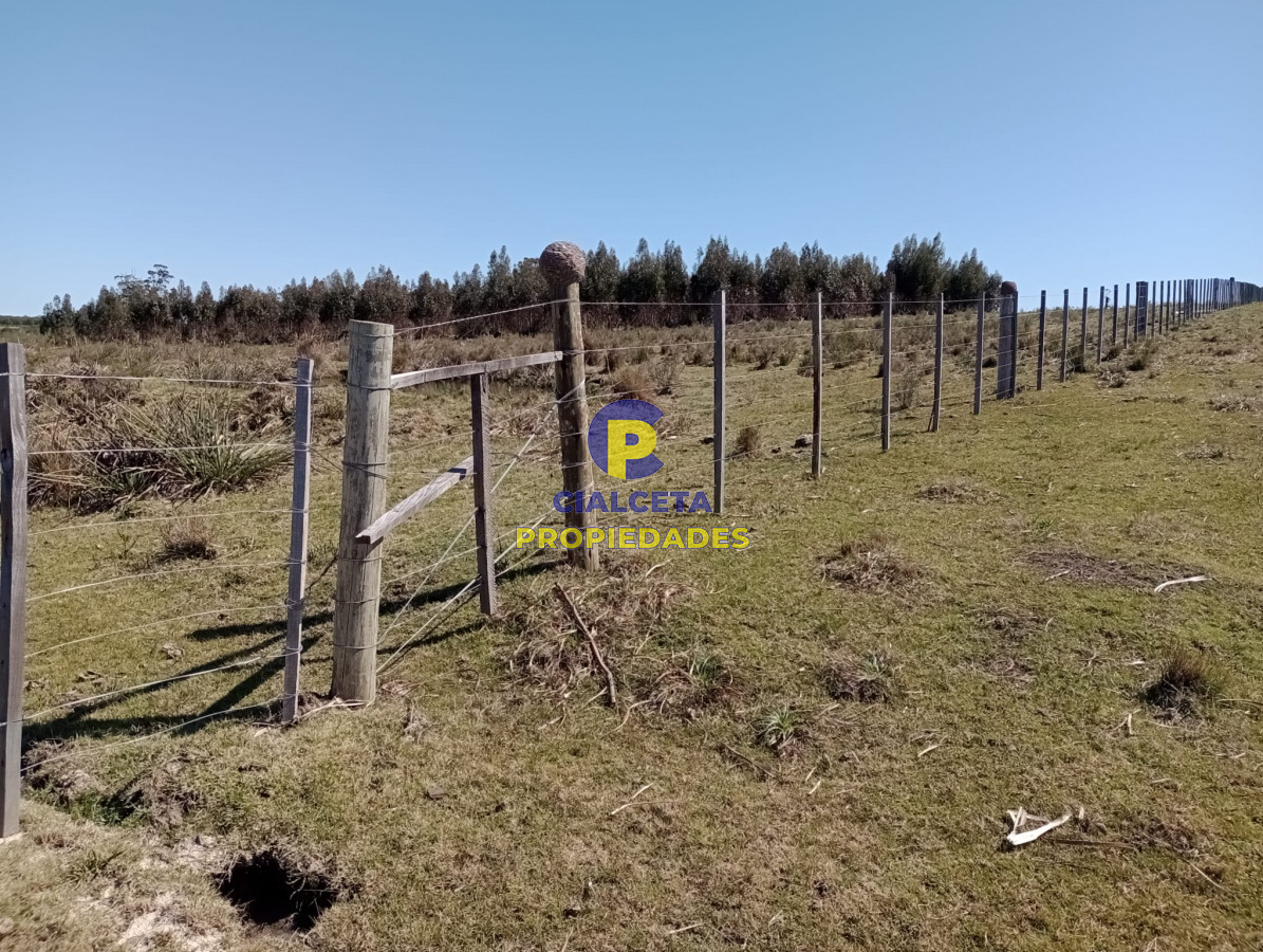 Campo Ref.307 - 16 hectáreas en Maldonado