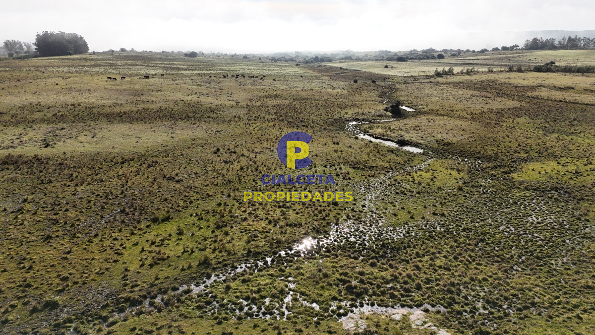 Campo Ref.466 - 24 hectáreas con aguada natural en Lavalleja