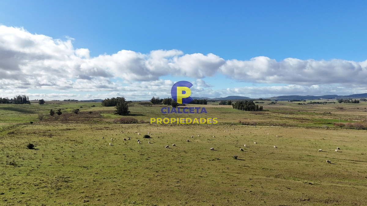 Campo Ref.454 - 430 hectáreas en Minas