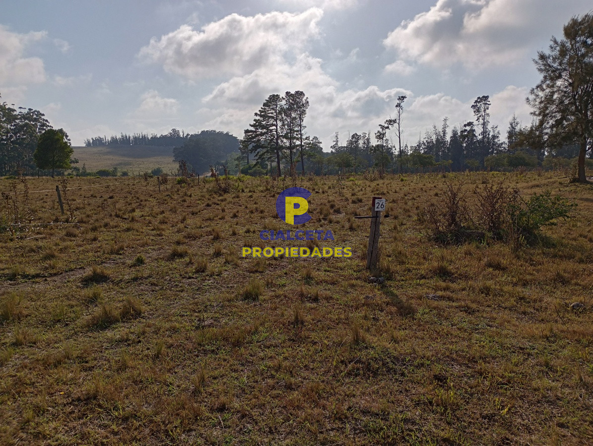 Campo Ref.103 - 94 hectáreas en Maldonado