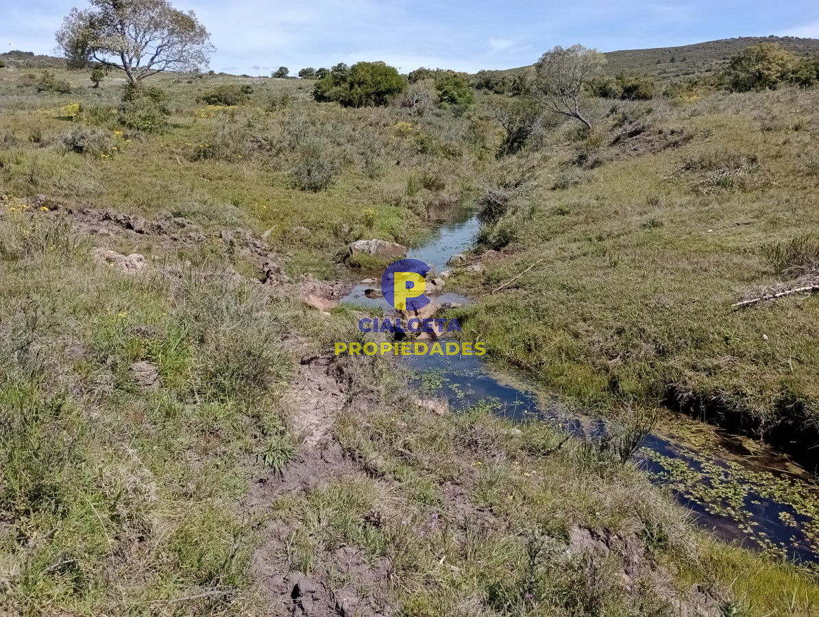 Campo Ref.209 - 5 hectáreas en Pueblo Edén