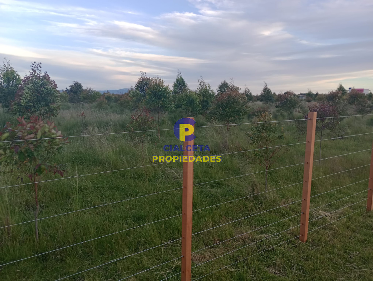 Campo Ref.342 - Campo con excelente casa