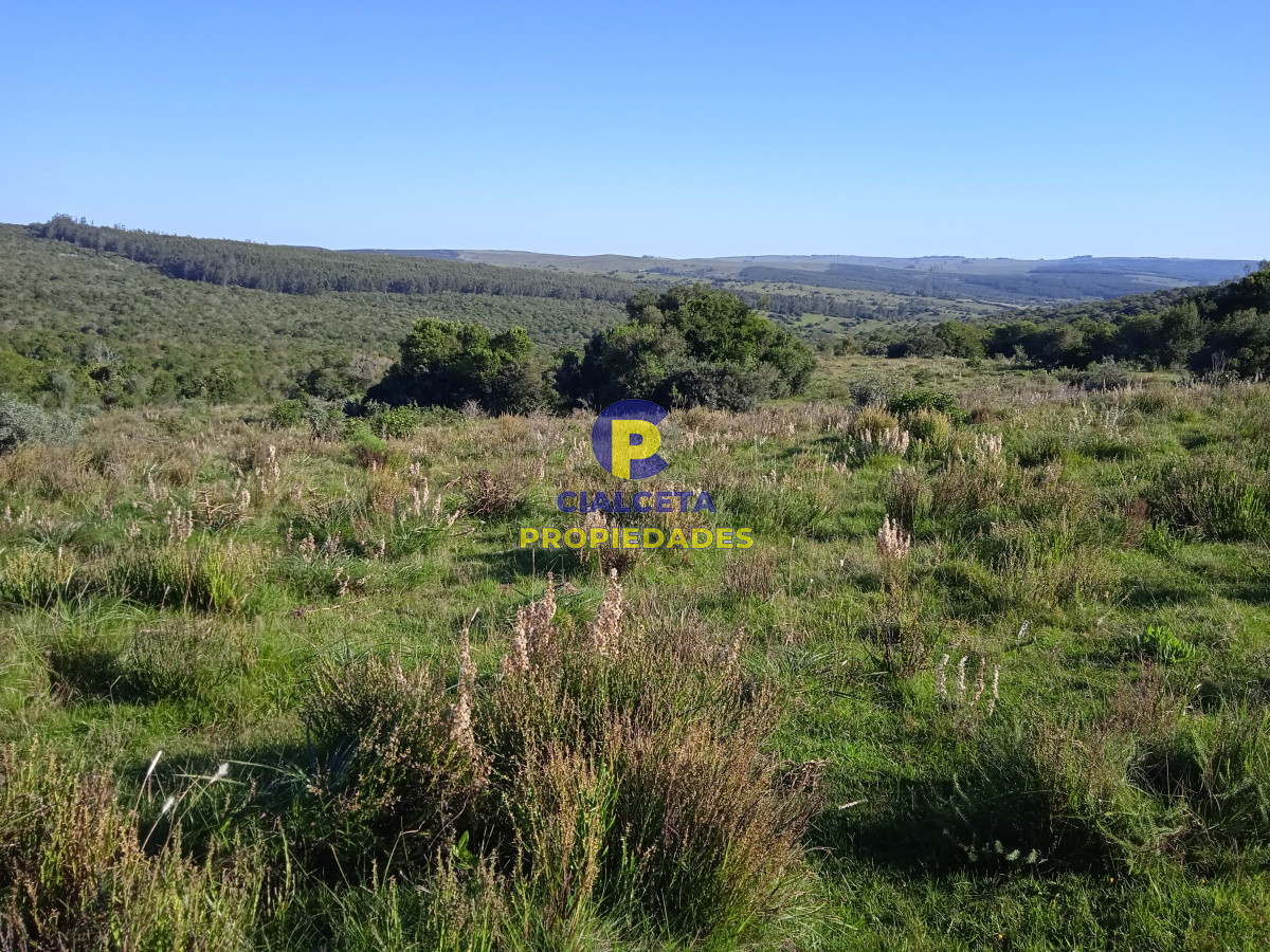 Campo Ref.96 - 155 hectáreas con casa, instalaciones