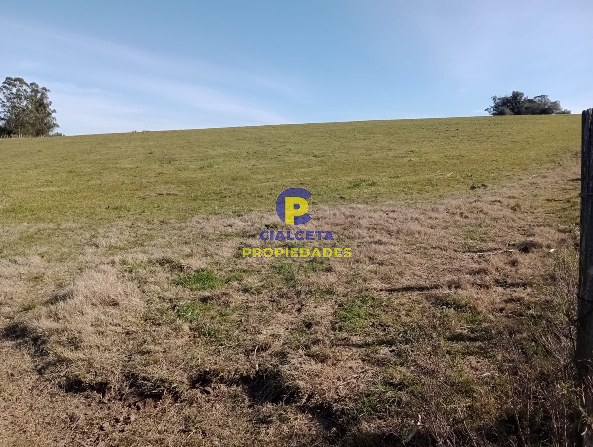 Campo Ref.298 - 82 hectáreas en Pueblo Edén