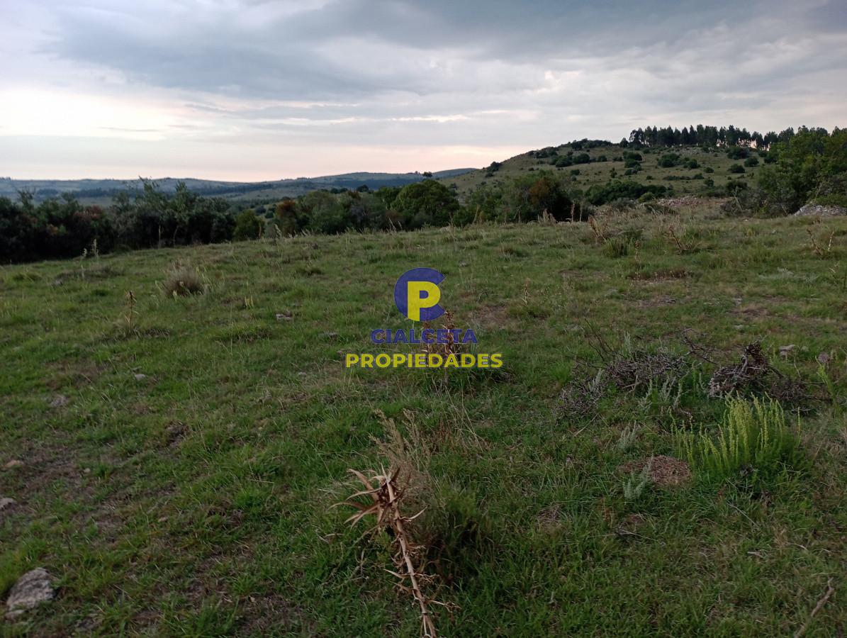 Campo Ref.182 - 5 hectáreas en Pueblo Edén