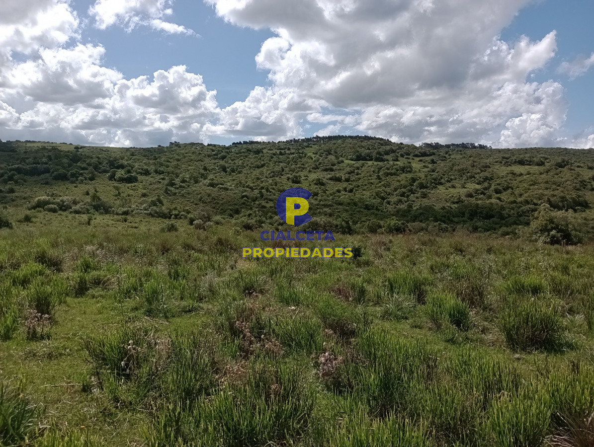 Campo Ref.102 - 98 hectáreas en Maldonado