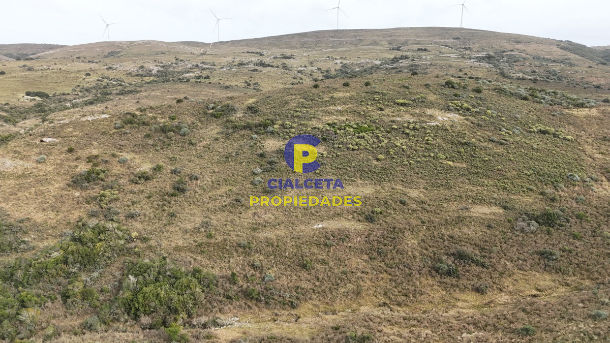 Campo Ref.502 - 86 hectáreas en Maldonado, con aguada, monte y cerro